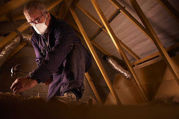 Best Blown-in Insulation in Timber Pines, FL
